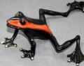 Black and Orange Footloose Bronze Frog by Barry Stein