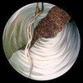 Sea Swirl Metal Wall Sculpture