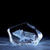 Baby Boar - Glass Etching by Mats Jonasson-MJ 33912