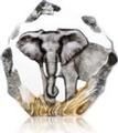 Elephant in Color by Mats Jonasson- MJ 33907