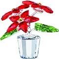 Swarovski Poinsettia Flower in Pot