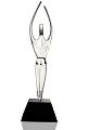 Reaching For The Stars Achievement Award
