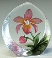 Pink Orchid - Crystal Flower Paperweight by Mats Jonasson - MJ 33922SP