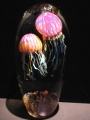 Richard Satava Double Ruby Gold Jellyfish Magnum Size