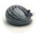 Gray Tabby Sleeping Cat