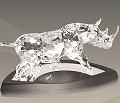 SCS Rhinoceros 2008, NLE - picture for reference only.