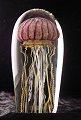 Purple Ribbed Jellyfish by Richard Satava