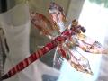 Dragonfly Red, Large