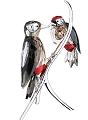 Swarovski  Black Diamond Woodpeckers