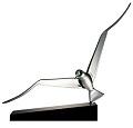 Frabel Studio Seagull small, clear