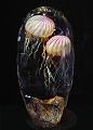 Richard Satava Dbl. Passion Moon Jellyfish Magnum Size