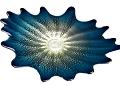 Blue Wallplate by Cliff Goodman
