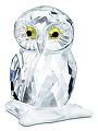 Swarovski Small Owl
