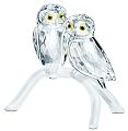 Swarovski Medium Owl