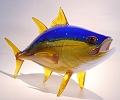 Yellow  Fin Tuna By Michael Hopko