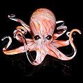 Peach Optic Hopko Glass Octopus Sculpture (please select size)