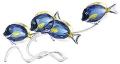 School of Surgeon Fish, Scuba Blue RETIRED