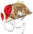 Butterfly Fish, Light Siam