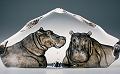 Mats Jonasson Hippopotamuses