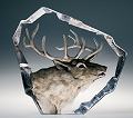 Mats Jonasson Etched Crystal Stag - MJ 33947