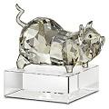 Swarovski Zodiac Pig