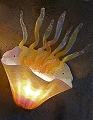 Amber Jellyfish Wall Sconce Light