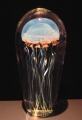 Richard Satava Blue Moon Magnum Sized Jellyfish