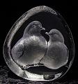 Turtle Doves by Mats Jonasson