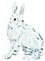 SCS 2011 Arctic Hare