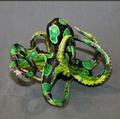 Barry Stein Bronze Eli Octopus -Purple Lime