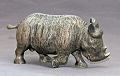 Barry Stein Rhinoceros Baby