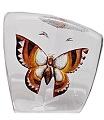 Mats Jonasson Safari Orange Butterfly MJ 34005
