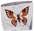 Mats Jonasson Safari Brown/Orange Butterfly MJ 34003 Small