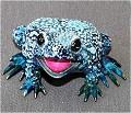 Boobala Blue - White  Bronze Frog by Barry Stein