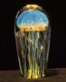 Blue Moon Glass Jellyfish Sculpture by Richard Satava SOLD was $589