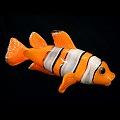 Clown Tropical Reef  Glass Fish Sculpture Wall Sculpture - NEMO
