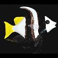Soul Glass Schooling Banner Fish Glass Sculpture Wall Sculpture