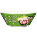 Moomin Bowl, Thingumy and Bob Green