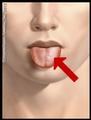 Put the food on the left of my tongue