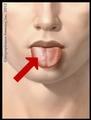 Put the food on the right of my tongue