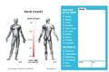 GRAPHIC PAIN SCALE. Helps locate location, degree and type of pain.