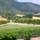 Image about The Vineyard #20