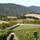 Image about The Vineyard #9