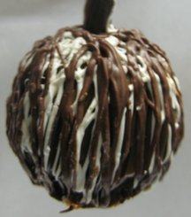 Triple Chocolate Meltdown Fancy Apples