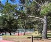 #36 - 3600 High Meadows Drive, Carmel, CA - Thumbnail Image #14