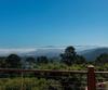 520 Loma Alta RD., Carmel, CA - Thumbnail Image #28
