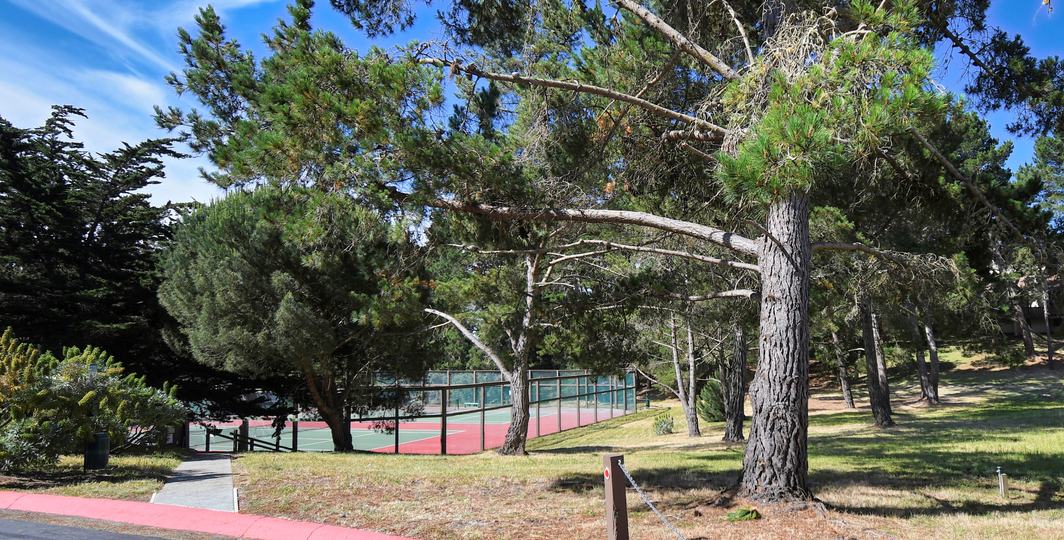 Real estate listings in Carmel