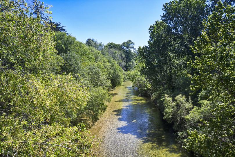 Real estate listings in Carmel Valley