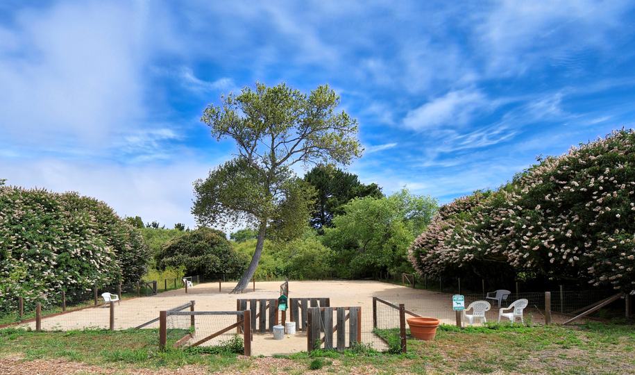 Real estate listings in Carmel Valley