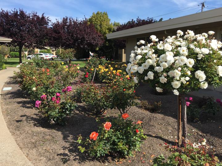 Real estate in Carmel Valley